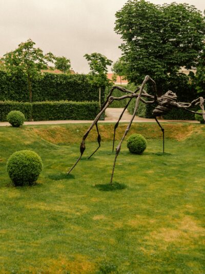 Parc et jardin🌳